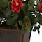3ft. Hibiscus Topiary Plant in Decorative Planter